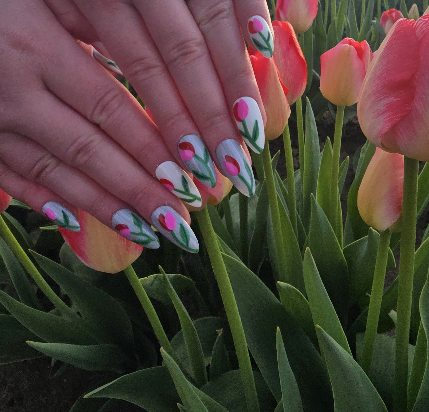 Tulip Stripe Nails